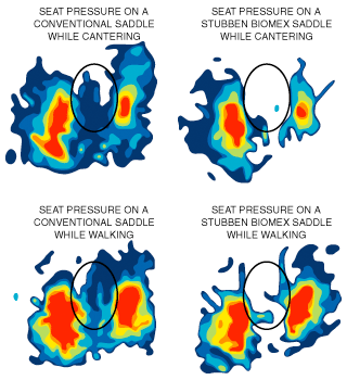 Stübben Biomex Seat Pressure Charts