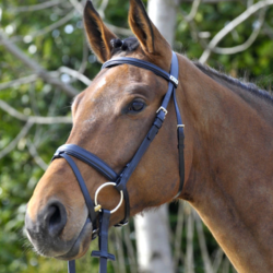 The Waterford Bridle from Stübben