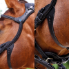 The Freedom Bridle from Stübben
