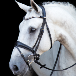 The Switch Magic Tack Bridle from Stübben