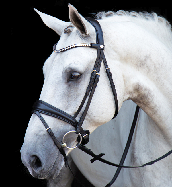 The Switch Magic Tack Bridle from Stübben