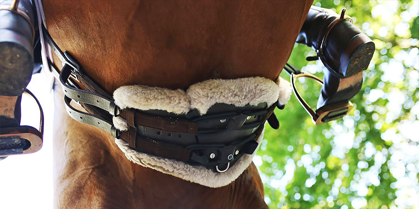 Stubben Equi-Soft Girth without Cover 